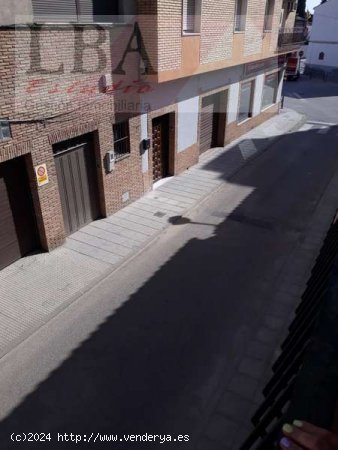 Edificio en las palmeras. - Bailén