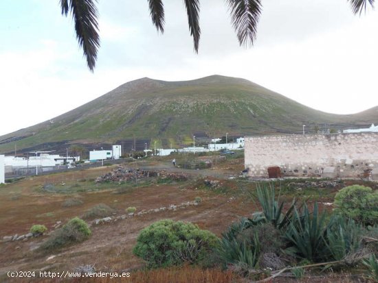 SE VENDE CASA ANTIGUA PARA RESTAURAR Y FINCA EN EL CENTRO DE MONTAÑA BLANCA - San Bartolomé