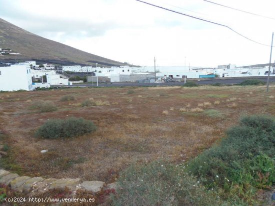 SE VENDE CASA ANTIGUA PARA RESTAURAR Y FINCA EN EL CENTRO DE MONTAÑA BLANCA - San Bartolomé