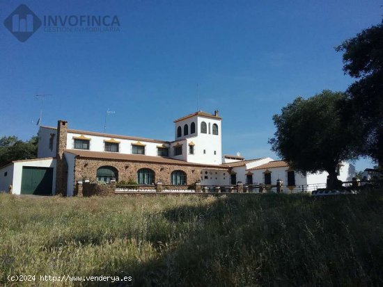 SE VENDE EXCLUSIVA Y LUJOSA FINCA DE RECREO CON ESPECTACULAR CORTIJO E INSTALACIONES - Barcarrota