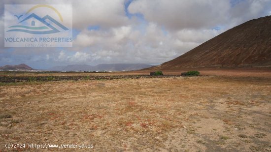 SE VENDE (Ref.319257) Licencia para construir Granja de Caprina en una finca de 14,430m2 con vistas 