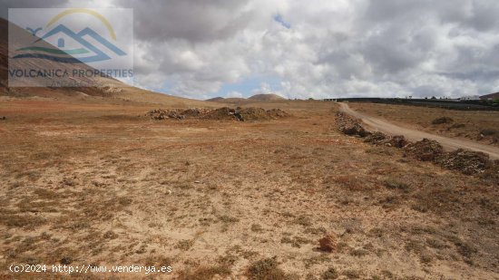 SE VENDE (Ref.319257) Licencia para construir Granja de Caprina en una finca de 14,430m2 con vistas 