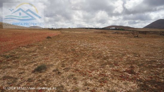 SE VENDE (Ref.319257) Licencia para construir Granja de Caprina en una finca de 14,430m2 con vistas 