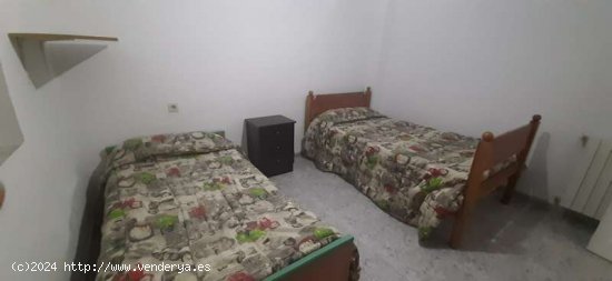  Apartamento en Alquiler en Baza - Baza 