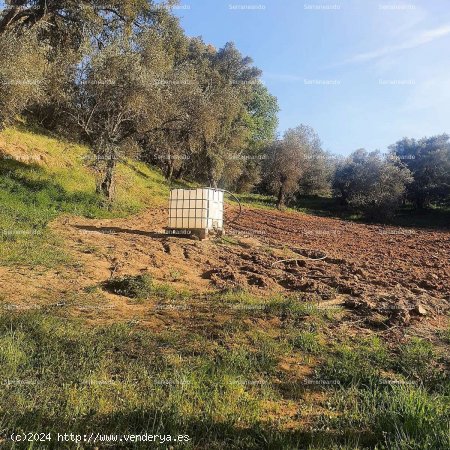 SE VENDE FINCA RÚSTICA Y TERRENO URBANIZABLE EN VENTA EN GALAROZA (HUELVA) ESPAÑA. - Galar