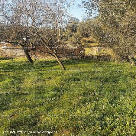 SE VENDE FINCA RÚSTICA Y TERRENO URBANIZABLE EN VENTA EN GALAROZA (HUELVA) ESPAÑA. - Galar