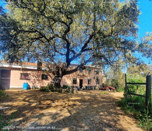 SE VENDE FINCA RÚSTICA EN VENTA EN AROCHE (HUELVA) ESPAÑA. - Aroche