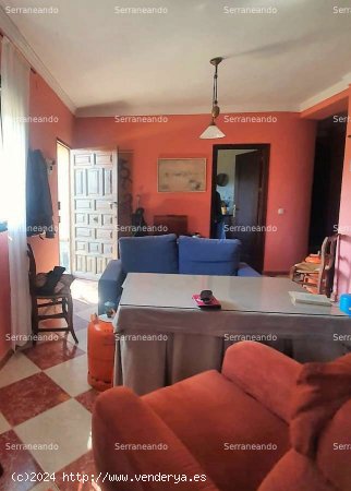 SE VENDE FINCA RÚSTICA EN VENTA EN AROCHE (HUELVA) ESPAÑA. - Aroche