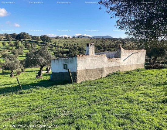 SE VENDE FINCA RÚSTICA EN VENTA EN CUMBRES MAYORES (HUELVA) ESPAÑA. - Cumbres Mayores