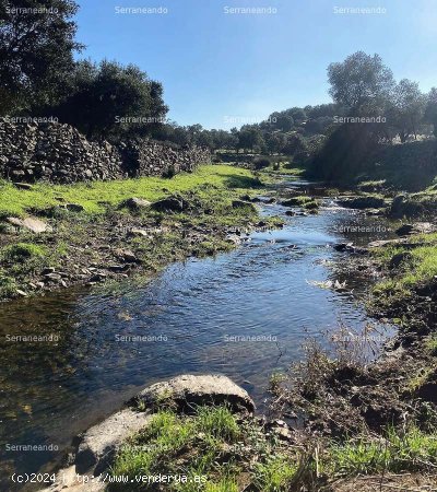 SE VENDE FINCA RÚSTICA EN VENTA EN CUMBRES MAYORES (HUELVA) ESPAÑA. - Cumbres Mayores