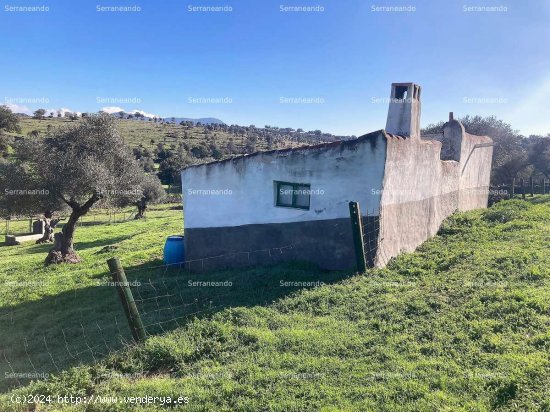 SE VENDE FINCA RÚSTICA EN VENTA EN CUMBRES MAYORES (HUELVA) ESPAÑA. - Cumbres Mayores