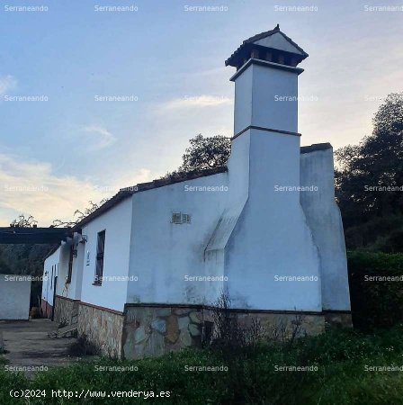 SE VENDE FINCA RÚSTICA EN VENTA EN CORTEGANA (HUELVA) ESPAÑA. - Cortegana