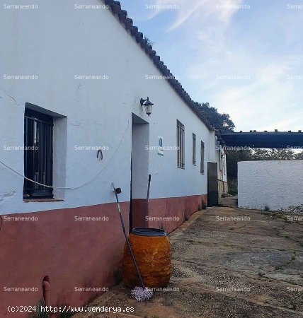 SE VENDE FINCA RÚSTICA EN VENTA EN CORTEGANA (HUELVA) ESPAÑA. - Cortegana