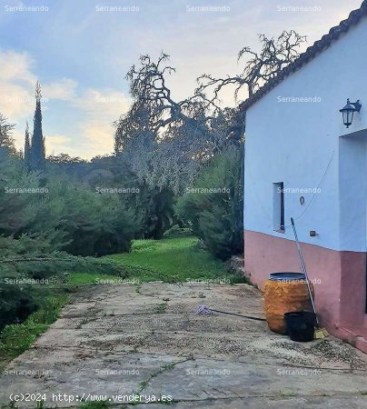 SE VENDE FINCA RÚSTICA EN VENTA EN CORTEGANA (HUELVA) ESPAÑA. - Cortegana