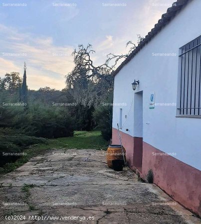 SE VENDE FINCA RÚSTICA EN VENTA EN CORTEGANA (HUELVA) ESPAÑA. - Cortegana