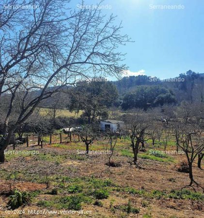 SE VENDE FINCA RÚSTICA EN VENTA EN GALAROZA (HUELVA) ESPAÑA. - Galaroza