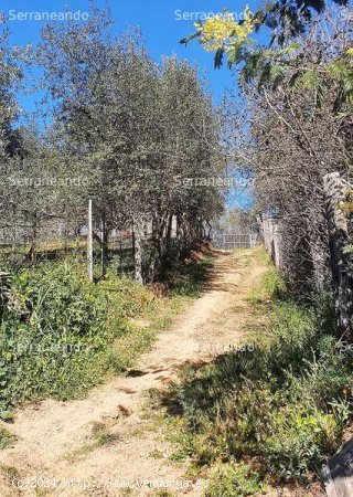 SE VENDE FINCA RÚSTICA EN VENTA EN GALAROZA (HUELVA) ESPAÑA. - Galaroza