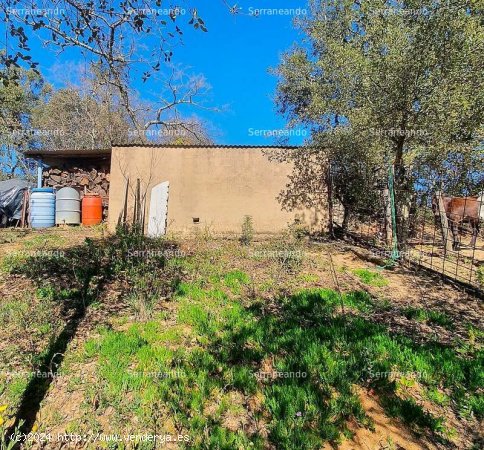 SE VENDE FINCA RÚSTICA EN VENTA EN GALAROZA (HUELVA) ESPAÑA. - Galaroza