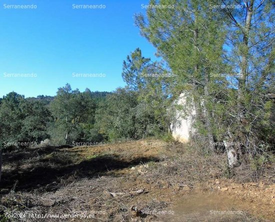 SE VENDE FINCA RÚSTICA EN VENTA EN SANTA ANA LA REAL (HUELVA) ESPAÑA. - Santa Ana la Real