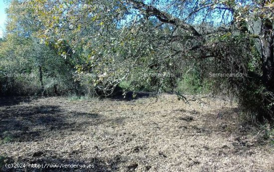 SE VENDE FINCA RÚSTICA EN VENTA EN SANTA ANA LA REAL (HUELVA) ESPAÑA. - Santa Ana la Real