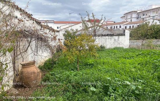 SE VENDE TERRENO URBANO EN VENTA EN JABUGO (HUELVA) ESPAÑA. - Jabugo