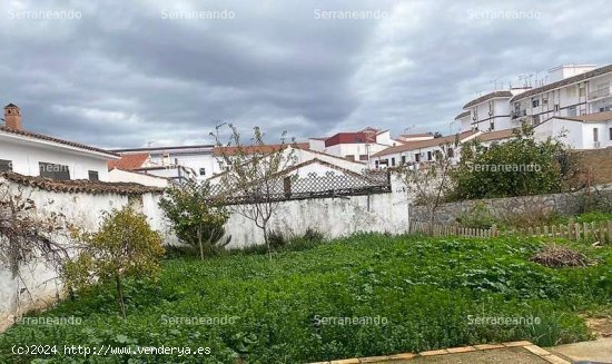 SE VENDE TERRENO URBANO EN VENTA EN JABUGO (HUELVA) ESPAÑA. - Jabugo