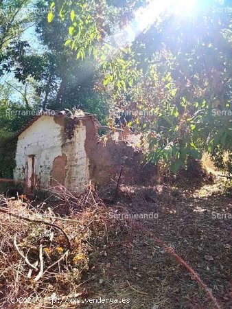 SE VENDE FINCA RÚSTICA EN VENTA EN LA NAVA (HUELVA) ESPAÑA. - Nava (La)