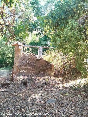 SE VENDE FINCA RÚSTICA EN VENTA EN LA NAVA (HUELVA) ESPAÑA. - Nava (La)