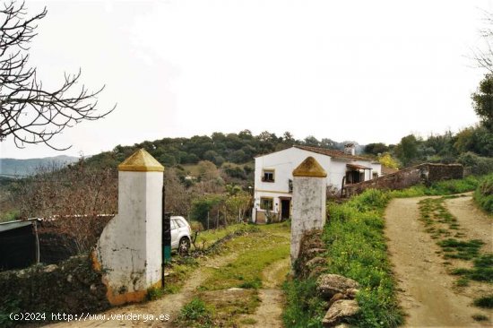 SE VENDE FINCA RÚSTICA EN VENTA EN CORTEGANA (HUELVA) ESPAÑA. - Cortegana