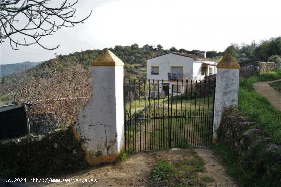 SE VENDE FINCA RÚSTICA EN VENTA EN CORTEGANA (HUELVA) ESPAÑA. - Cortegana