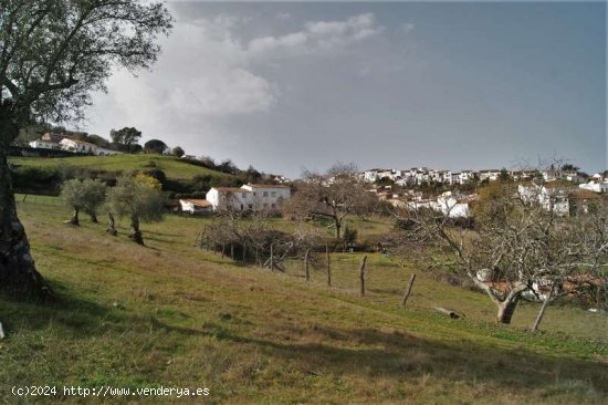 SE VENDE FINCA RÚSTICA EN VENTA EN CORTEGANA (HUELVA) ESPAÑA. - Cortegana