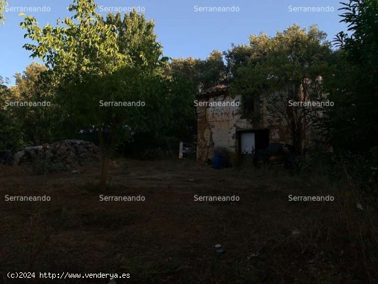 SE VENDE FINCA RUSTICA EN VENTA EN GALAROZA (HUELVA) ESPAÑA. - Galaroza