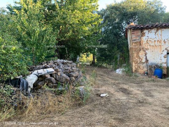 SE VENDE FINCA RUSTICA EN VENTA EN GALAROZA (HUELVA) ESPAÑA. - Galaroza