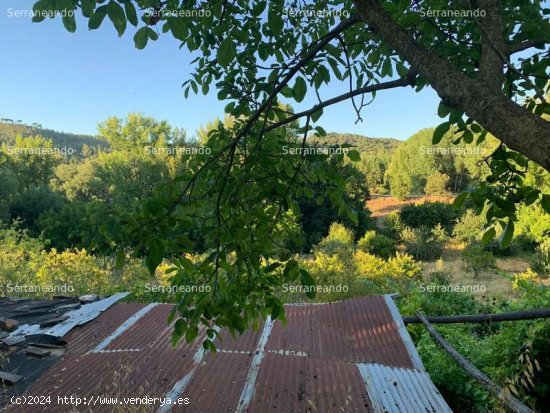 SE VENDE FINCA RUSTICA EN VENTA EN GALAROZA (HUELVA) ESPAÑA. - Galaroza