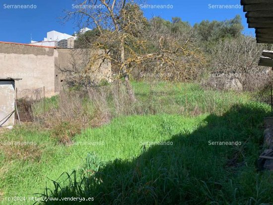 SE VENDE ALMACEN Y TERRENO DE TIERRA EN VENTA EN GALAROZA (HUELVA) ESPAÑA. - Galaroza