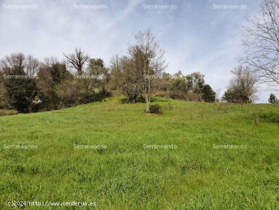 SE VENDE FINCA RÚSTICA EN VENTA EN LA NAVA (HUELVA) ESPAÑA. - Nava (La)