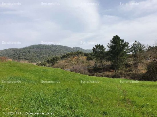 SE VENDE FINCA RÚSTICA EN VENTA EN LA NAVA (HUELVA) ESPAÑA. - Nava (La)