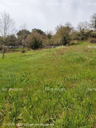 SE VENDE FINCA RÚSTICA EN VENTA EN LA NAVA (HUELVA) ESPAÑA. - Nava (La)