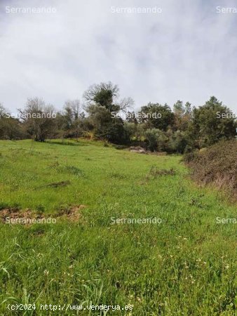 SE VENDE FINCA RÚSTICA EN VENTA EN LA NAVA (HUELVA) ESPAÑA. - Nava (La)