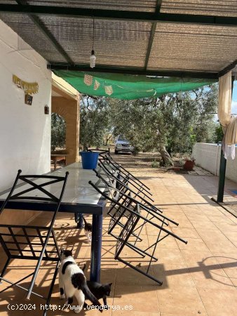 SE VENDE FINCA EN CARMONA, CHALET CON PISCINA - La Campiña