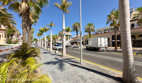 Apartamento en Alquiler en Arona Santa Cruz de Tenerife