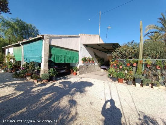  CASA DE CAMPO CERCA DEL CASCO URBANO DE ELCHE - ALICANTE 