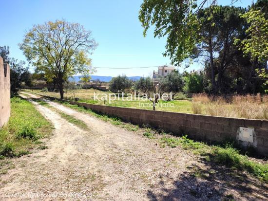 TERRENO URBANO A LA VENTA EN L´ALCUDIA DE CRESPINS. - VALENCIA