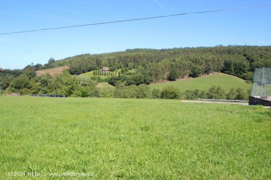 TERRENO URBANO CON BUENAS VISTAS EN RUISEÑADA - CANTABRIA