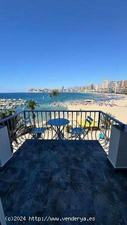 EDIFICIO DE APARTAMENTOS TURISTICOS EN EL PUERTO DE BENIDORM - ALICANTE