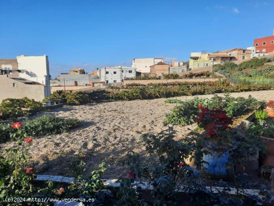 SE VENDE FINCA CON CUARTO DE APEROS EN CHARCO DEL PINO - SANTA CRUZ DE TENERIFE