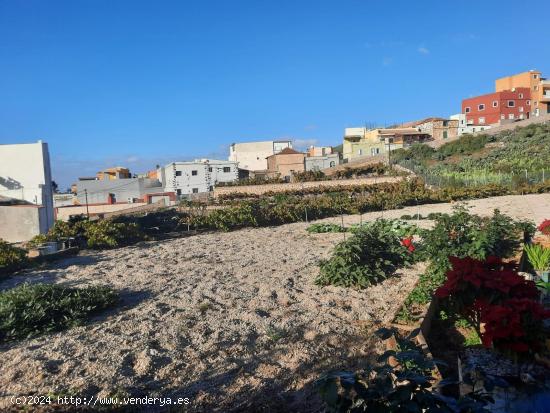 SE VENDE FINCA CON CUARTO DE APEROS EN CHARCO DEL PINO - SANTA CRUZ DE TENERIFE