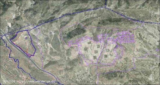 TERRENO AGRÍCOLA CON EDIFICACIÓN EN SAN VICENTE DEL RASPEIG - ALICANTE