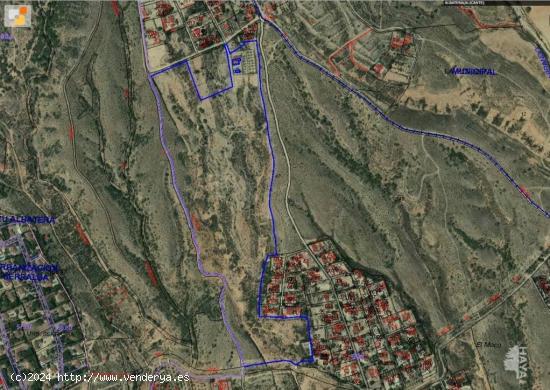 TERRENO AGRÍCOLA CON EDIFICACIÓN EN ALBATERA - ALICANTE