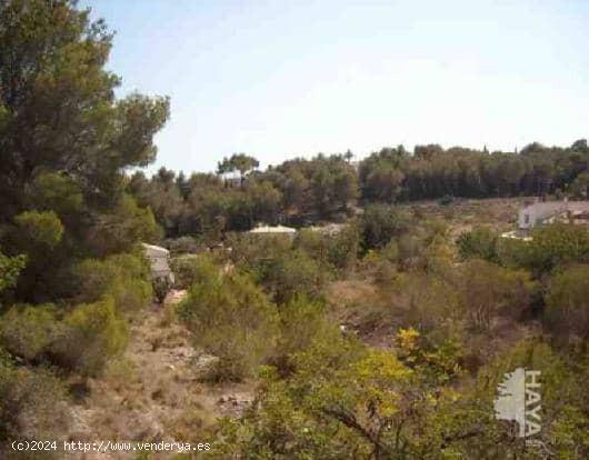 TERRENO TIPO SOLAR EN JAVEA - ALICANTE